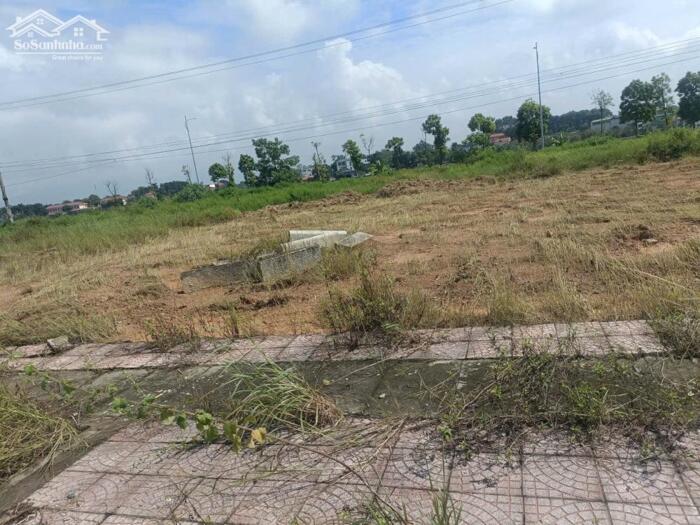 Hình ảnh Bán đất đấu giá Lai Sơn, Đồng Tâm, Vĩnh Yên, Vĩnh Phúc. Đường 16,5m kinh doanh đẹp 0