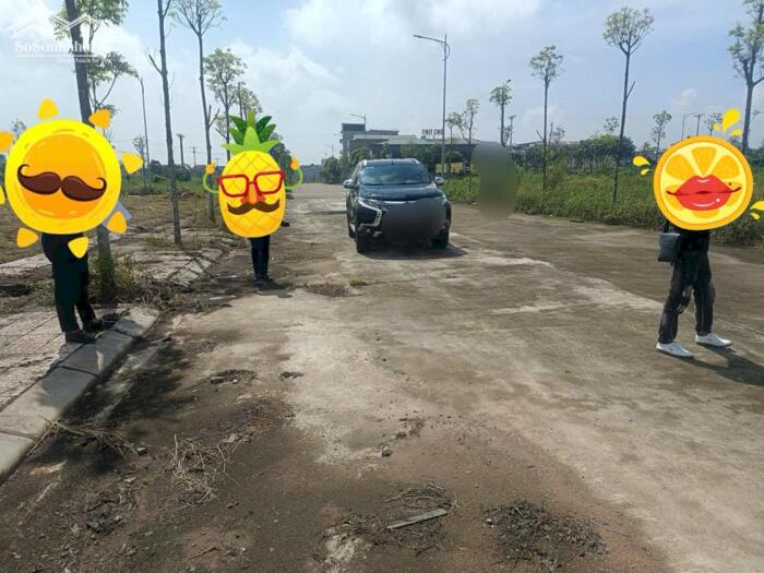 Hình ảnh Bán đất đấu giá Lai Sơn, Đồng Tâm, Vĩnh Yên, Vĩnh Phúc. Đường 16,5m kinh doanh đẹp 2