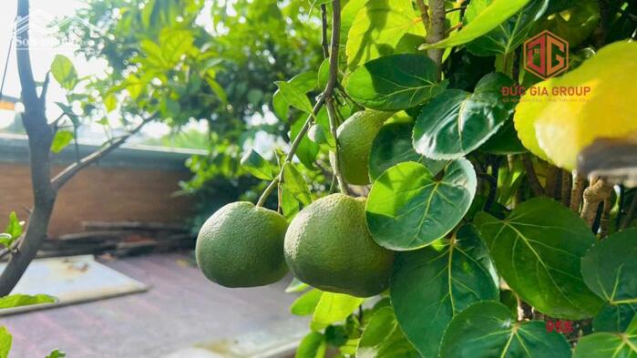 Hình ảnh Bán cặp nhà đẹp nhất mặt tiền đường N1, sổ hồng hoàn công 500m2 sàn ngang 10m giá 28.5 tỷ 10