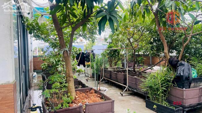 Hình ảnh Bán cặp nhà đẹp nhất mặt tiền đường N1, sổ hồng hoàn công 500m2 sàn ngang 10m giá 28.5 tỷ 9