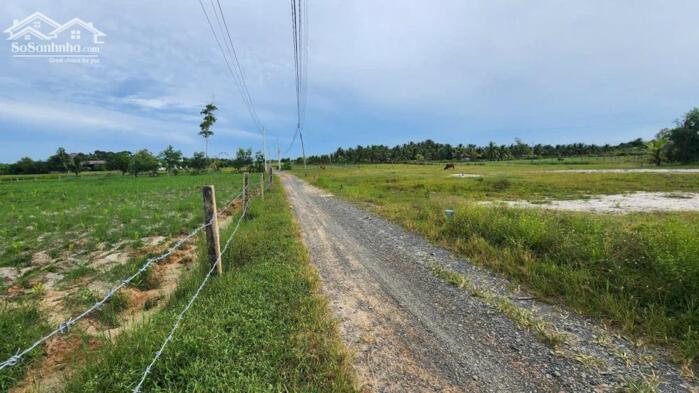 Hình ảnh bán đất 10x37 hẻm nguyễn thông, Tân Bình, LaGi. 120m thổ cư. giá rẻ 4