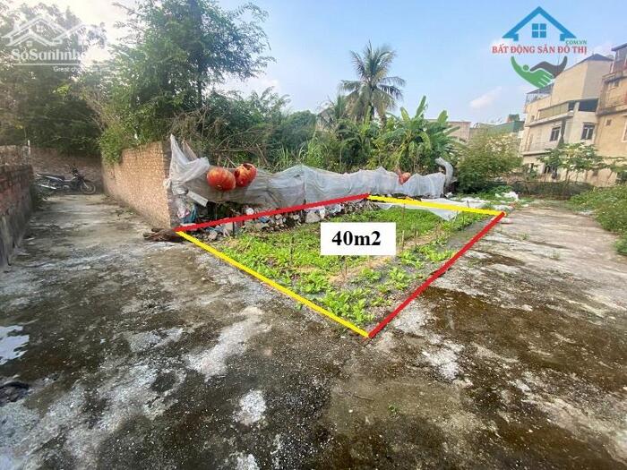 Hình ảnh Bán đất Tam Hưng Thanh Oai, 40m2, tài chính Nhỏ nhỉnh 3 tỷ, Lô góc 2 thoáng 0