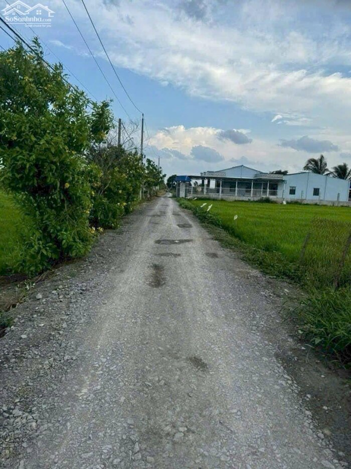 Hình ảnh Nền đất thổ 185m2 mt xe hơi xã Tân Lân giá rẻ đầu tư 900tr 0