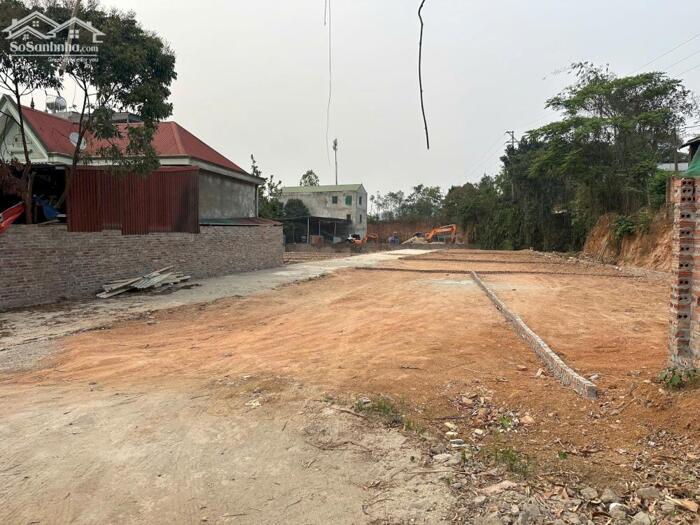 Hình ảnh Bán đất TDP Làng Bầu, Liên Bảo, Vĩnh Yên, Vĩnh Phúc. Lô góc diện tích 127,7m2. 1