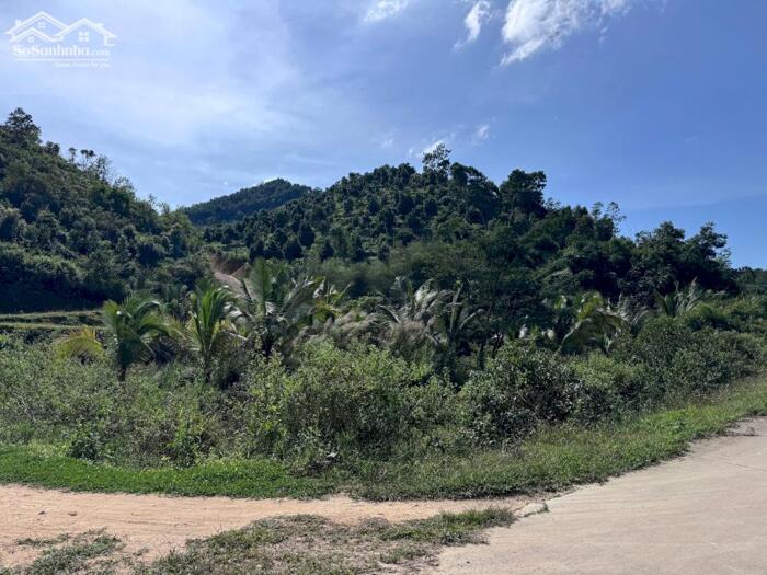 Hình ảnh 1ha giá rẻ gần trung tâm, có sẵn nhà thuộc Nam Rạ phường Đông Gia Nghĩa 0