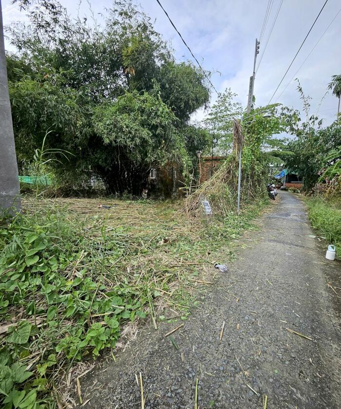 Hình ảnh Bán đất ODT gần ủy ban Thuận An cũ, Bình Minh, Vĩnh Long 3