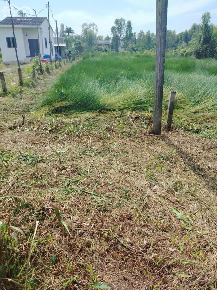 Hình ảnh Đất vườn giá rẻ 917m2 mt xe 3 gác xã Phước Tuy chỉ 600tr 0