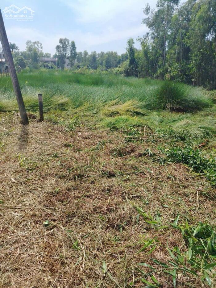 Hình ảnh Đất vườn giá rẻ 917m2 mt xe 3 gác xã Phước Tuy chỉ 600tr 1