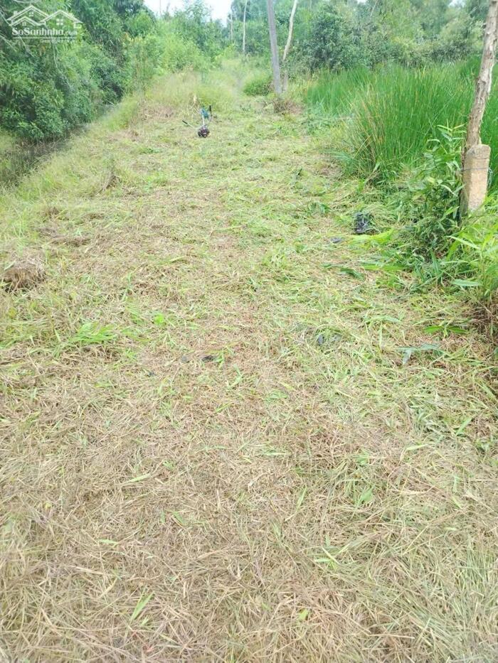 Hình ảnh Đất vườn giá rẻ 917m2 mt xe 3 gác xã Phước Tuy chỉ 600tr 2