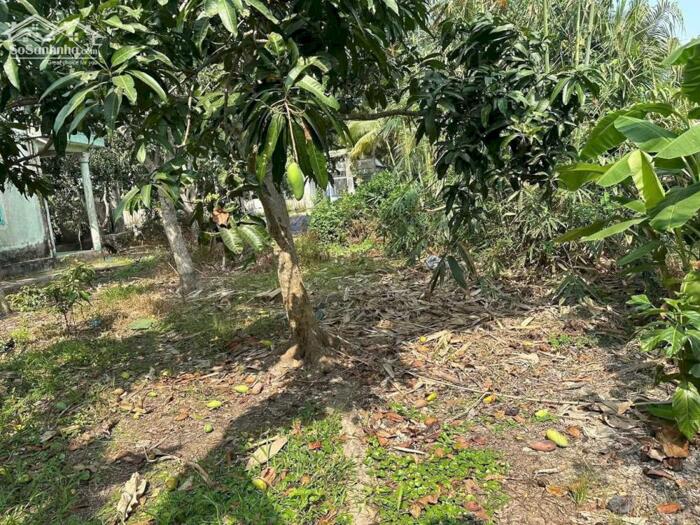 Hình ảnh Bán 1747m2 Đất Rạch Ngã Bát - cách đường Trương Vĩnh Nguyên 1km - Cách Lộ 40m đang làm 300m 1