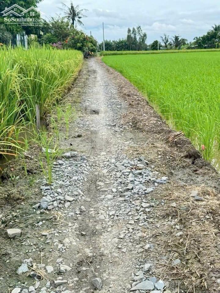 Hình ảnh Đất thổ giá rẻ công nhân 300m2 mt xe máy xã Tân Lân 600tr 0