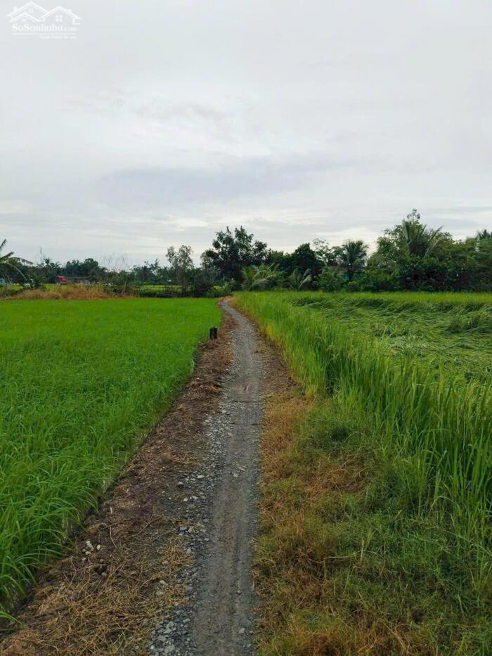 Hình ảnh Đất thổ giá rẻ công nhân 300m2 mt xe máy xã Tân Lân 600tr 1