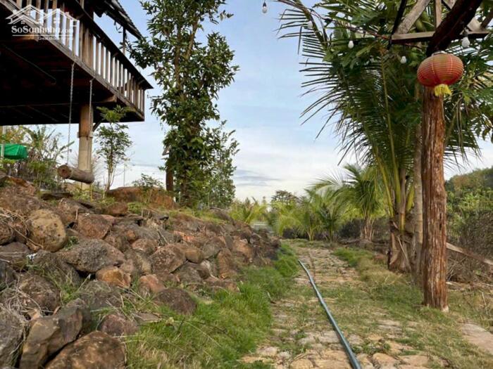 Hình ảnh Homestay Thôn 8 Cư Êbur 2,5 Sào Giá Chỉ 2,2 Tỷ Khu Dân Cư Sẵn Hồ Siêu Suối Quỳnh Anh 4