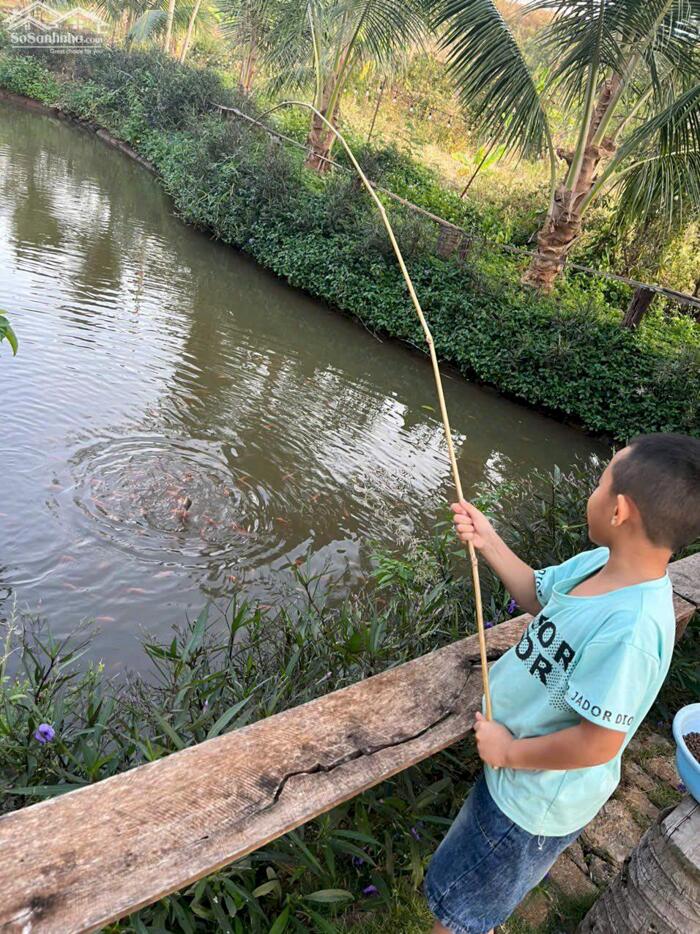 Hình ảnh Homestay Thôn 8 Cư Êbur 2,5 Sào Giá Chỉ 2,2 Tỷ Khu Dân Cư Sẵn Hồ Siêu Suối Quỳnh Anh 3