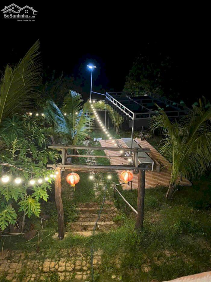 Hình ảnh Homestay Thôn 8 Cư Êbur 2,5 Sào Giá Chỉ 2,2 Tỷ Khu Dân Cư Sẵn Hồ Siêu Suối Quỳnh Anh 5