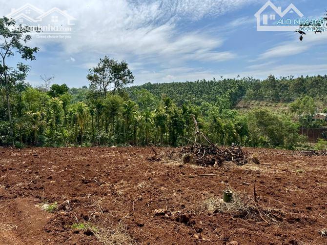 Hình ảnh 3,5 Sào Ôm Suối Nở Hậu 46M Buôn Kroa A Giáp Hoà Thuận Chỉ 1,5 Tỷ Quỳnh Anh 1