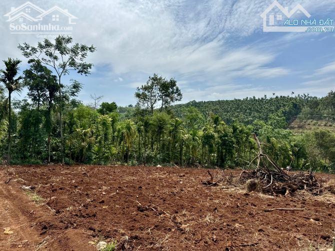 Hình ảnh 3,5 Sào Ôm Suối Nở Hậu 46M Buôn Kroa A Giáp Hoà Thuận Chỉ 1,5 Tỷ Quỳnh Anh 0