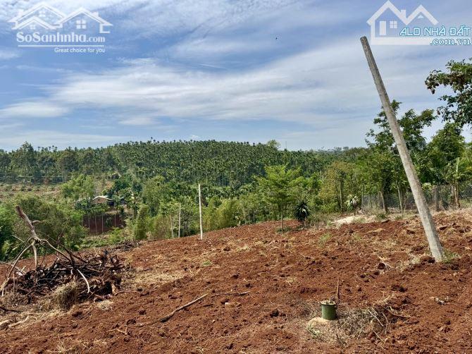 Hình ảnh 3,5 Sào Ôm Suối Nở Hậu 46M Buôn Kroa A Giáp Hoà Thuận Chỉ 1,5 Tỷ Quỳnh Anh 5