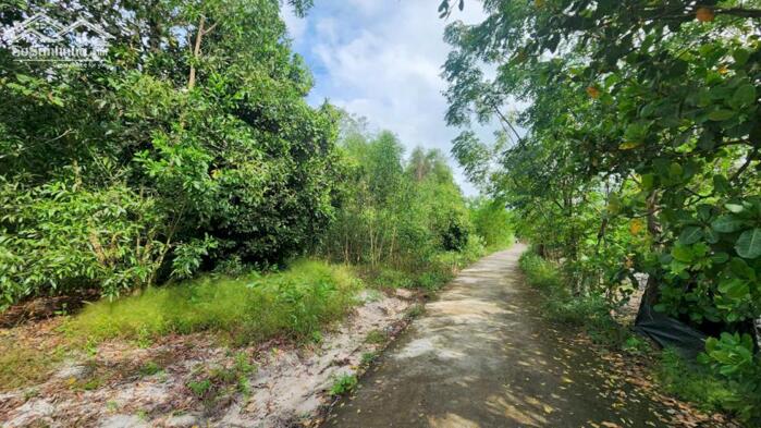 Hình ảnh bán gấp đất gần biển Cam Bình, LaGi. 2400m2 có sẵn 200m thổ cư. giá chỉ 1,7 triệu 1m2 2