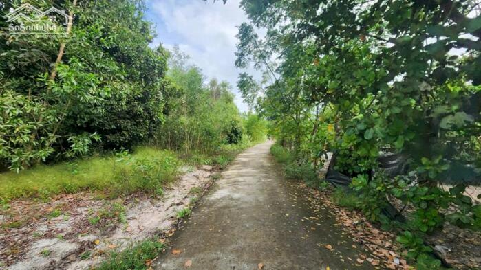 Hình ảnh bán gấp đất gần biển Cam Bình, LaGi. 2400m2 có sẵn 200m thổ cư. giá chỉ 1,7 triệu 1m2 3