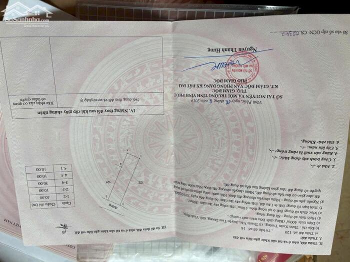 Hình ảnh Bán đất trục chính thôn Xuân Trường, Thanh Vân, Tam Dương, Vĩnh Phúc. 2