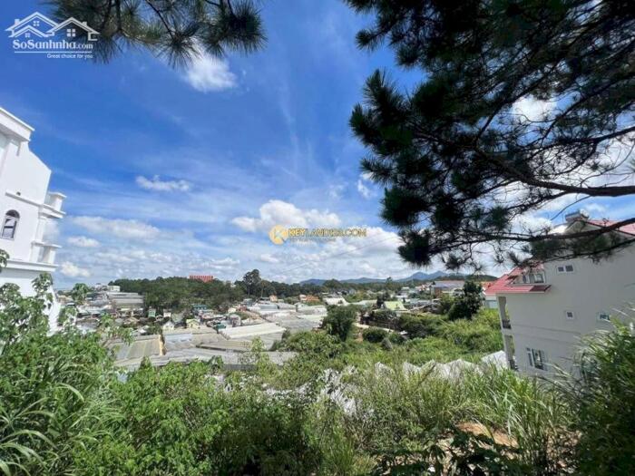 Hình ảnh Đất biệt lập cao cấp Phường 8 – ngang 12,7m – sổ riêng – view thoáng đẹp không chắn 1