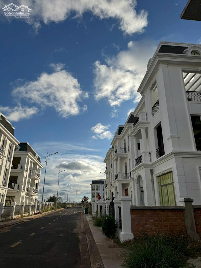 Hình ảnh BIệt thự đơn lập góc dự án Ecocity giá tốt, 13.5 tỷ 264m2 2