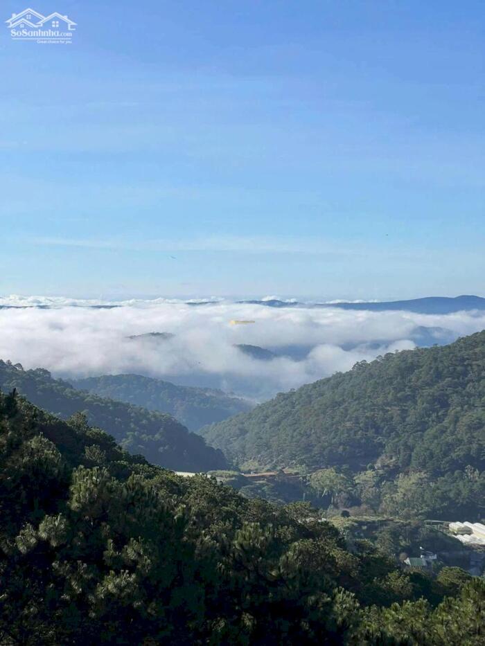 Hình ảnh Bán Villa 4 tầng mặt tiền KQH P.11 – 224m² – Sổ riêng – 38 tỷ 3