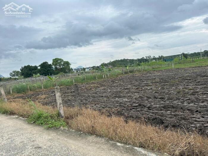 Hình ảnh Siêu Phẩm Full Thổ Cư 6x30 – Giá Chỉ 500 Triệu – Hiếm Khó Tìm Tại LaGi 1