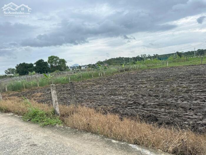 Hình ảnh Siêu Phẩm Full Thổ Cư 6x30 – Giá Chỉ 500 Triệu – Hiếm Khó Tìm Tại LaGi 0