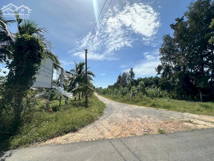 Hình ảnh Siêu Phẩm 10023m2 View Biển LaGi – Giá Chỉ 2,6 Triệu/m² – Duy Nhất 1 Lô 3