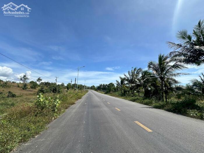 Hình ảnh Siêu Phẩm 10023m2 View Biển LaGi – Giá Chỉ 2,6 Triệu/m² – Duy Nhất 1 Lô 0