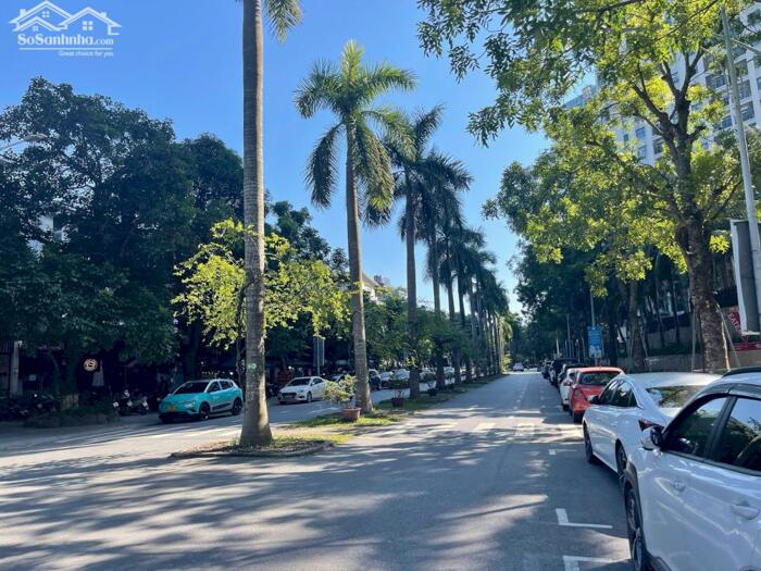 Hình ảnh Bán biệt thự Marina Residences Ecopark Văn Giang Hưng Yên, 241,5m2 đã hoàn thiện nội thất 10