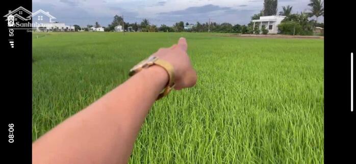 Hình ảnh Chủ cần bán gấp 1367m2 đất vườn Óc Đảo Long Hựu giá rẻ hết sổ 550tr 1