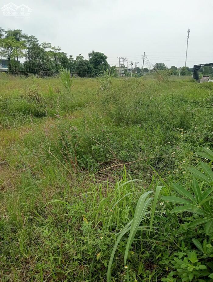 Hình ảnh CẦN TÌM ĐỐI TÁC CHUYỂN NHƯỢNG ĐẤT KCN ĐỒNG VĂN, DUY TIÊN, HÀ NAM 2