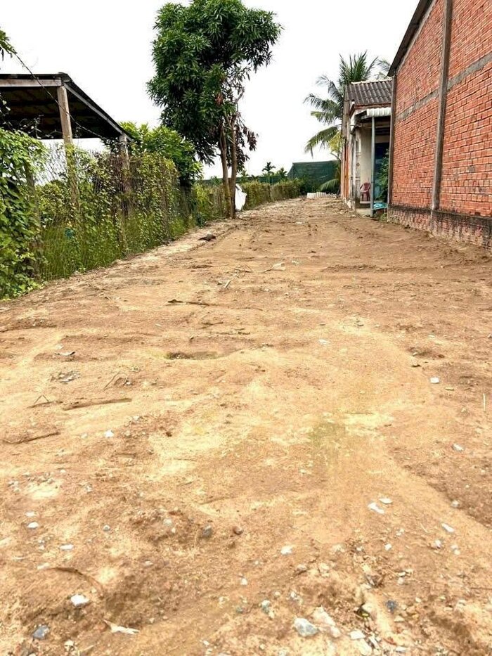 Hình ảnh Đất mặt tiền đường Trần Văn Ngàn, Hướng Thọ Phú TP Tân An 2