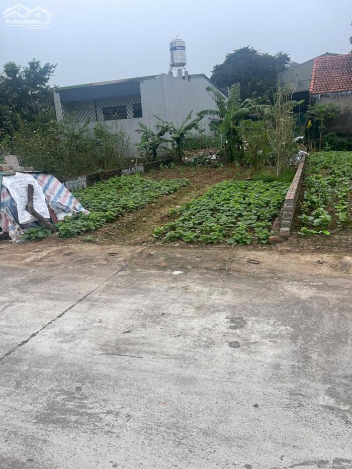 Hình ảnh Bán đất thôn Viên Du Hòa, Thanh Vân, Tam Dương, Vĩnh Phúc. 0