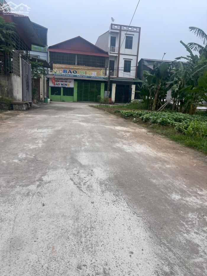 Hình ảnh Bán đất thôn Viên Du Hòa, Thanh Vân, Tam Dương, Vĩnh Phúc. 2