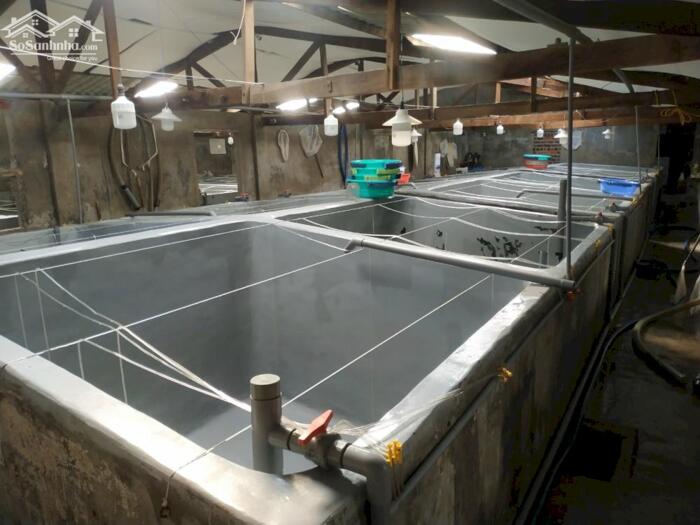 Hình ảnh Bán trại nuôi giống cách Nha Trang 12Km gần ngay Quốc lộ 1A 492m2 thổ cư 200m2 2