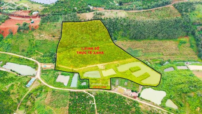 Hình ảnh Rẫy cà phê đẹp khu dân cư đông, 45m bê tông tại Quảng Thành Gia Nghĩa 0