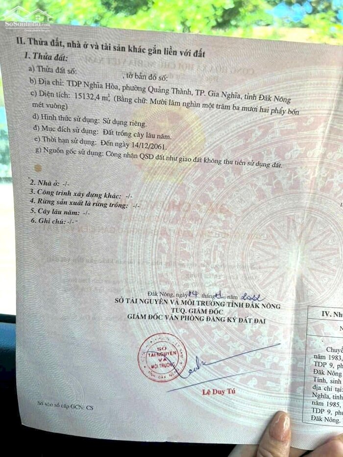 Hình ảnh Rẫy cà phê đẹp khu dân cư đông, 45m bê tông tại Quảng Thành Gia Nghĩa 1