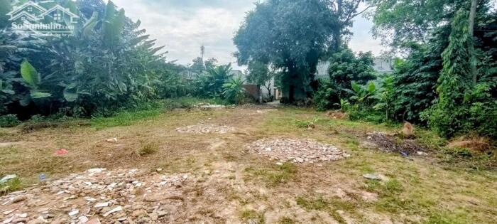 Hình ảnh Đất thổ cư 1/Tân Hiệp 18-Hóc Môn.Dt 18x45~738m2~9ty 0