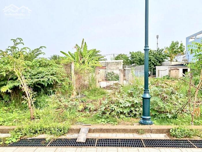 Hình ảnh Bán Nền 2 Mặt tiền đường Tầm Vu - Tặng Nhà Cấp 4, P.Tân An 3