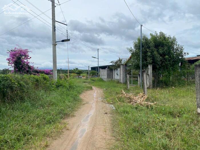 Hình ảnh Bán Gấp Lô Đất Đẹp Ngang 10x50 Tại Tân Tiến LaGi Giá 1 Tỷ Siêu Rẻ 1