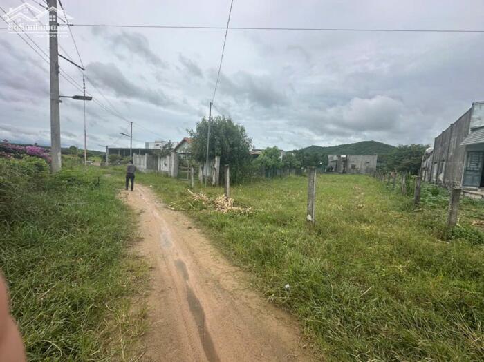 Hình ảnh Bán Gấp Lô Đất Đẹp Ngang 10x50 Tại Tân Tiến LaGi Giá 1 Tỷ Siêu Rẻ 2