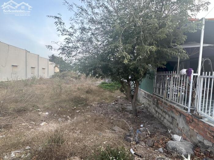 Hình ảnh 6X34(201M2) Full thổ Cư Lý Thái Tổ Tân Tiến LaGi Gần Biển Giá Siêu Hấp Dẫn 4