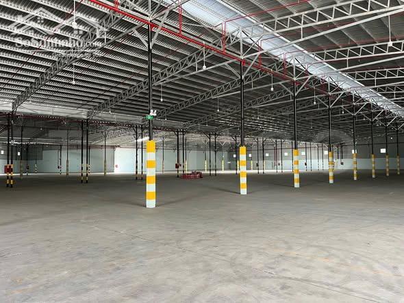 Hình ảnh CHO THUÊ KHO – BÃI 10.500M²– PCCC TỰ ĐỘNG – ĐƯỜNG VNG, CÁI RĂNG, CẦN THƠ | 690 TRIỆU 4