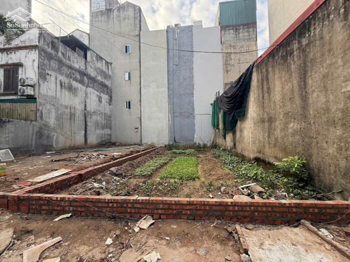 Hình ảnh 40m view vườn hoa TĐC Tu Hoàng – Phân lô bàn cờ – Ô tô tránh, vỉa hè – Kề liên cấp Phenikaa 1