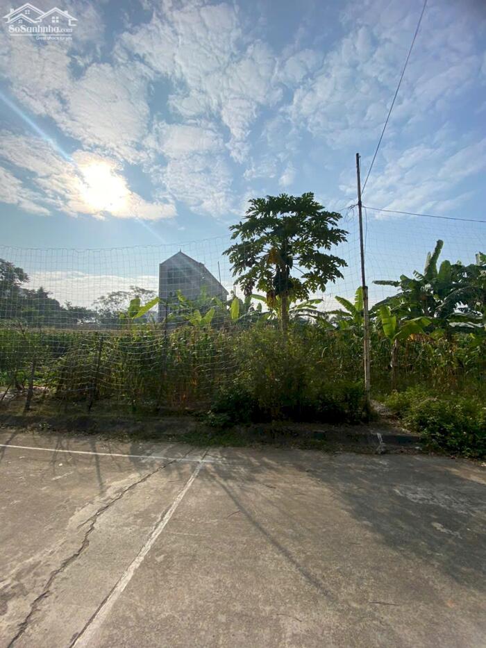 Hình ảnh Bán đất khu đấu giá May Mặc, Kim Long, Tam Dương, Vĩnh Yên. Giáp khu công nghiệp Tam Dương 0