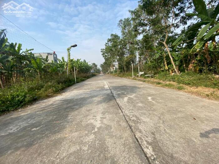 Hình ảnh Bán đất khu đấu giá May Mặc, Kim Long, Tam Dương, Vĩnh Yên. Giáp khu công nghiệp Tam Dương 1